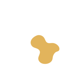 63f3388e-placeholder-1770015428