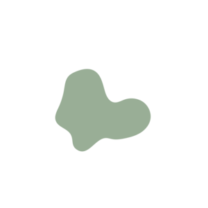 A258d445-placeholder-1770019941