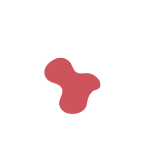 528ca259-placeholder-1770014711