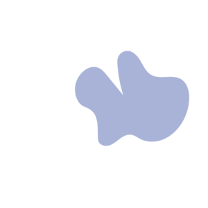 09d46148-placeholder-1770006296