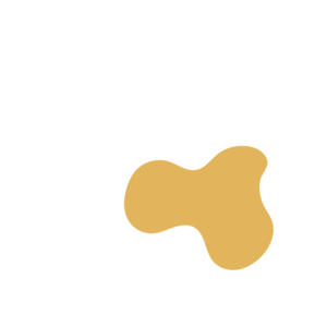 6295b343-placeholder-1770013075