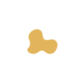 A9b5214a-placeholder-1770006234