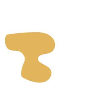 87f90797-placeholder-1770005965