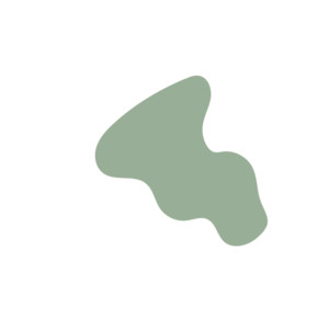 0a70201e-placeholder-1770023676