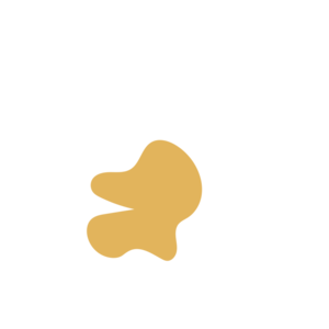 214d5d03-placeholder-1770030810