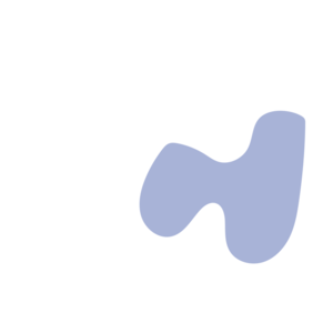 E1eb0bec-placeholder-1770006961