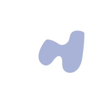 A623828d-placeholder-1770052969