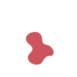 F20e9168-placeholder-1770013778