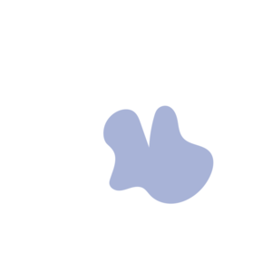 51d25b6e-placeholder-1770049900