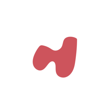 B2d9405b-placeholder-1770015228