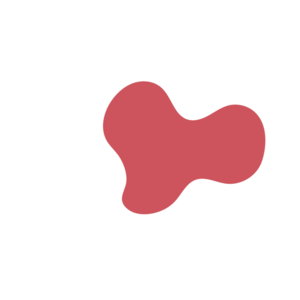 E12c9aad-placeholder-1770005960