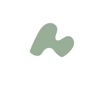 571c2a70-placeholder-1770055733