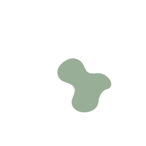 C6599c28-placeholder-1770015920