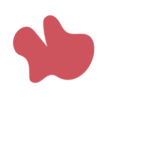 Cac18fd1-placeholder-1769138773