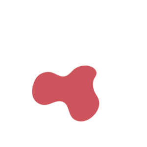 4d22b505-placeholder-1770012363