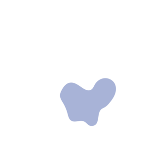 99c16d4a-placeholder-1770016463