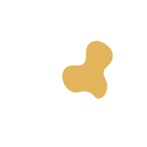 67ecacd4-placeholder-1770005627