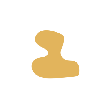 98c724fc-placeholder-1770008899