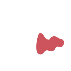 Fd632486-placeholder-1770054651