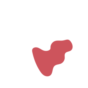 09f89241-placeholder-1770030042