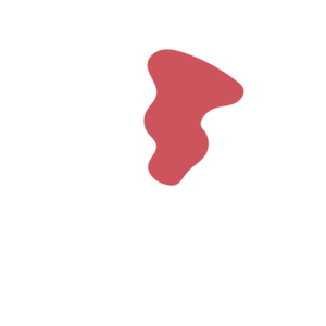 E9fc58a7-placeholder-1770009384