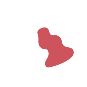 A8f99193-placeholder-1770074434