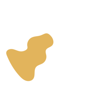 De78577e-placeholder-1770007192