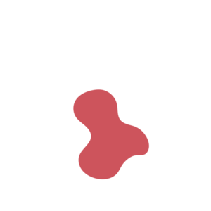 47e9be27-placeholder-1770013056