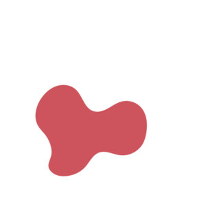 3a80514b-placeholder-1770022004