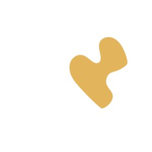 E226d0d0-placeholder-1770021743