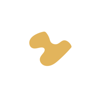 91a771f9-placeholder-1770055223