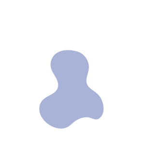 E00b9ce9-placeholder-1769019825