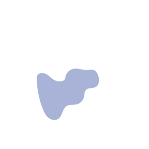 A0b153a2-placeholder-1770023694