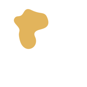 2d655e84-placeholder-1770028414