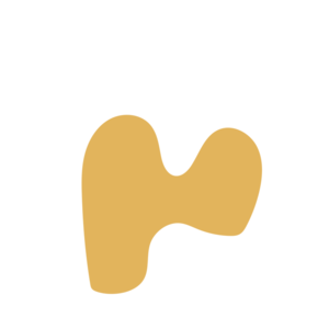 807ad533-placeholder-1770008692