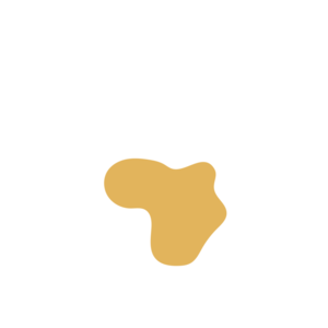 9221cafa-placeholder-1770031151