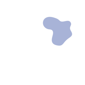 C3c5d2bf-placeholder-1770013117