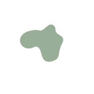 Cb519acd-placeholder-1770025027