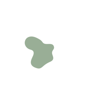 796a5e83-placeholder-1770007978