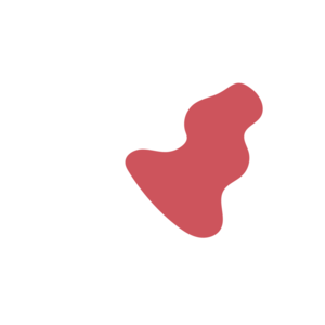 B257b393-placeholder-1770394418