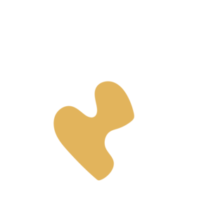 863f1160-placeholder-1770021683