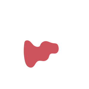 A1fadf25-placeholder-1770005627