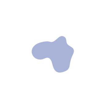 81d792c6-placeholder-1770016547