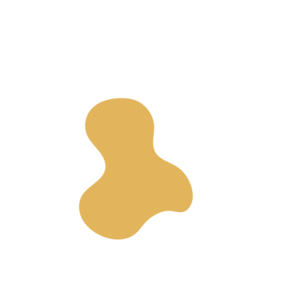 Cf594a27-placeholder-1770019412