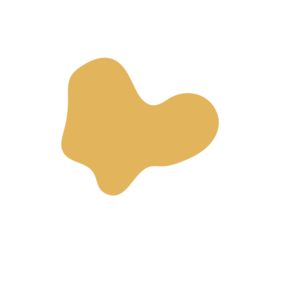 7e2ce8f1-placeholder-1770019924