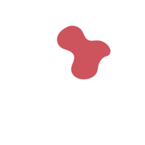 A437ee5c-placeholder-1770055481