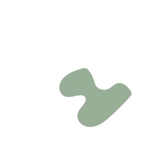 7601c7e6-placeholder-1770017507