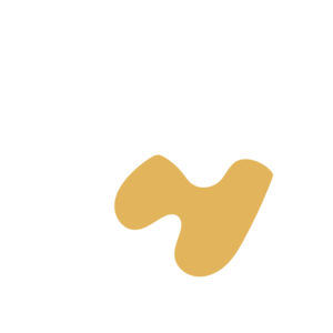 855ed2d8-placeholder-1770014689