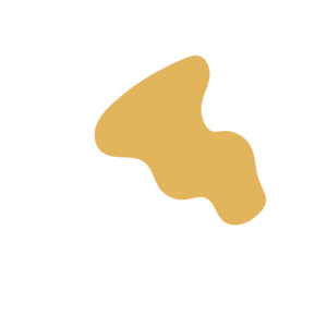 8b29fff6-placeholder-1770021114