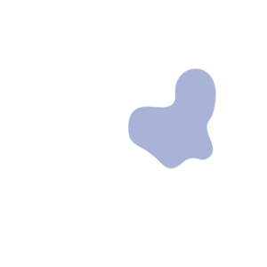 5d40e1b1-placeholder-1770020331